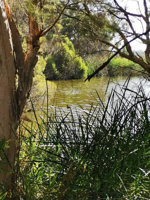 Simply Delightful Unit Close To Cbd And Beach Perth Dış mekan fotoğraf